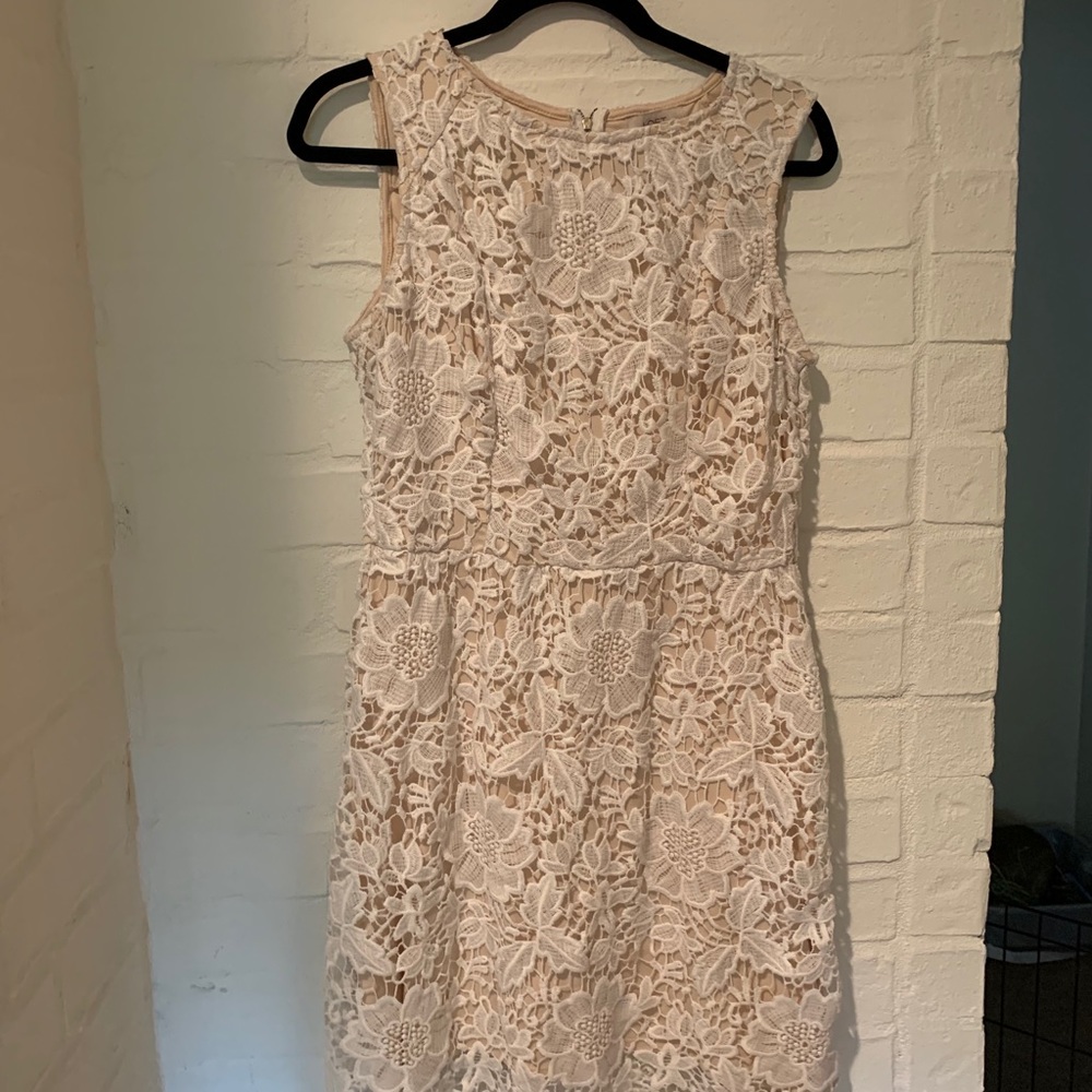 Loft White Lace Dress